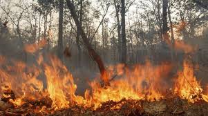 Immagine di Adozione dell'elenco provvisorio delle aree percorse dal fuoco